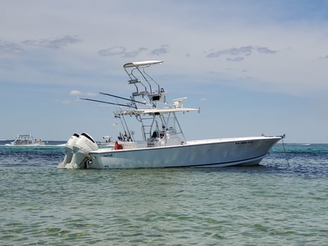 Boat photo for Half day trip