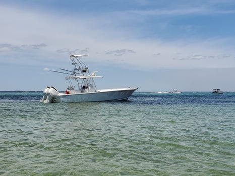 Boat photo for Half day trip