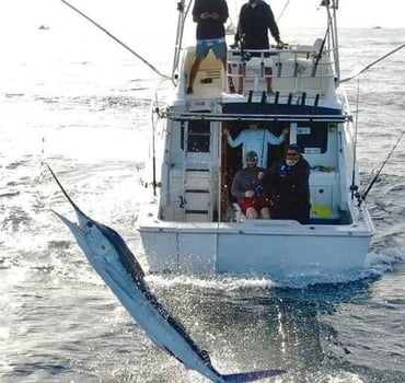 Boat photo for Cabo VIP Fishing - 32’ Luhrs 5-8hrs