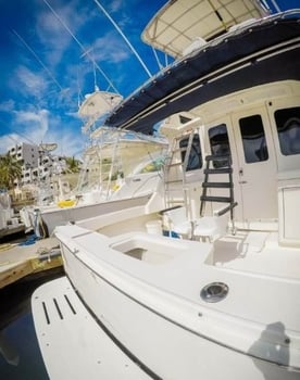 Boat photo for Cabo VIP Fishing - 32’ Luhrs 5-8hrs