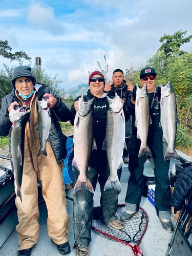 Salmon Trips In Cook