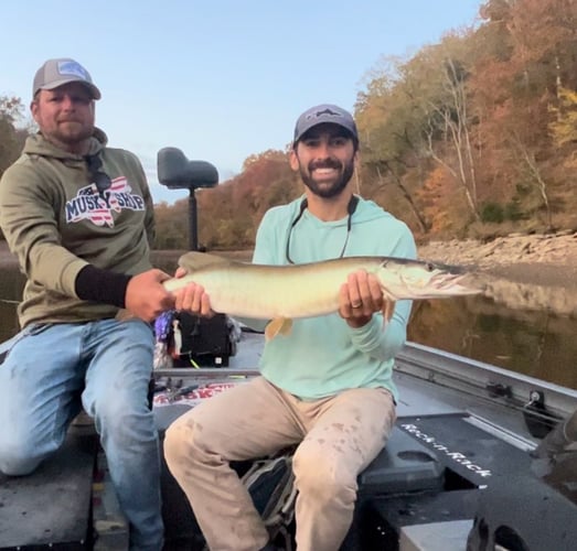 Tennessee Musky Fly Fishing In Knoxville