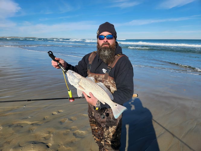 Nearshore Fly Fishing In Harkers Island