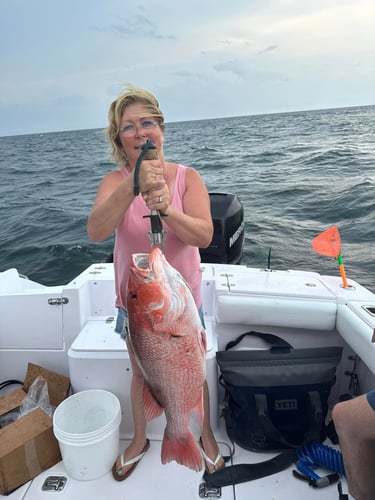 Full Day Or 3/4 Day Red Snapper Trip - 28’ Grady White In Gulf Shores