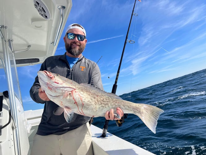 PCB Reefs And Trolling In Panama City Beach