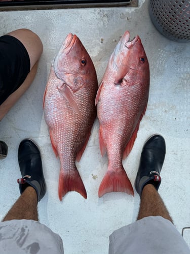 PCB Reefs And Trolling In Panama City Beach