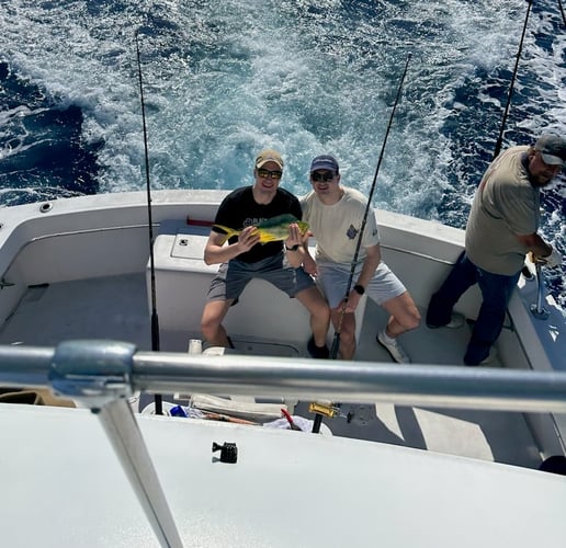 Full Day Offshore - 45' Hatteras In Miami