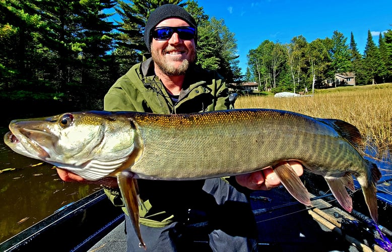 Wallhanger Musky Guide Trips In Eagle River