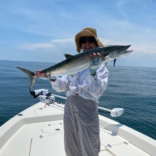 Nearshore Kingfish Special In Jacksonville