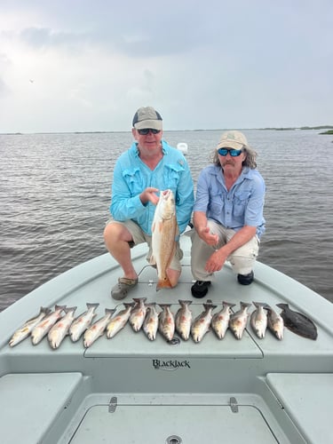 Half Day Fishing Trip In Boothville-Venice