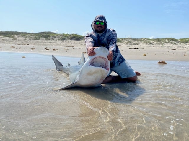 8 Hour Shark Fishing (recommended) In Corpus Christi