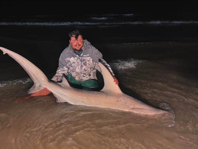 8 Hour Shark Fishing (recommended) In Corpus Christi