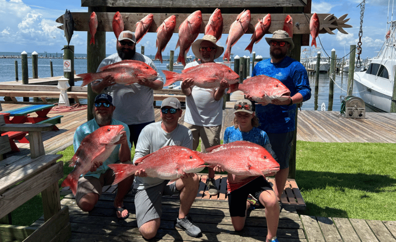 Federal Waters Snapper In Gulf Shores
