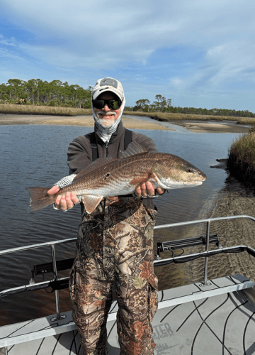 Picture-Perfect Inshore Trip In Steinhatchee
