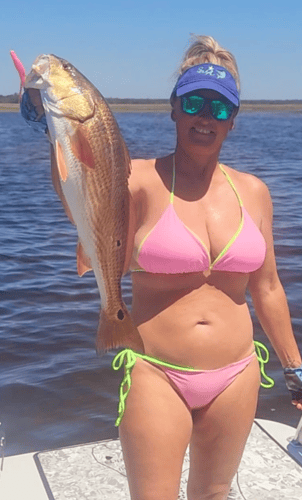 Picture-Perfect Inshore Trip In Steinhatchee