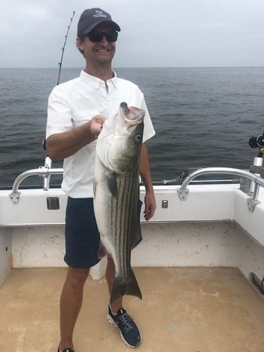 Annapolis Fishing Charters In Annapolis