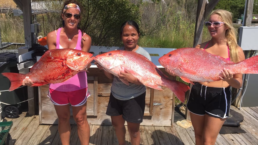 Red Snapper Round Up In Gulf Shores