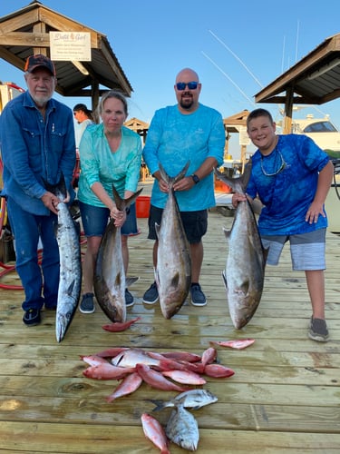 Red Snapper Round Up In Gulf Shores