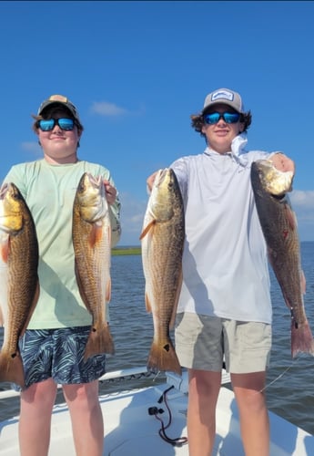 Inshore Targets, Nearshore Trolling In Orange Beach