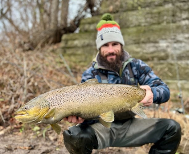 Milwaukee Salmon And Trout In Glendale