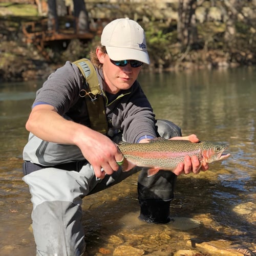 Trout On The Fly In New Braunfels