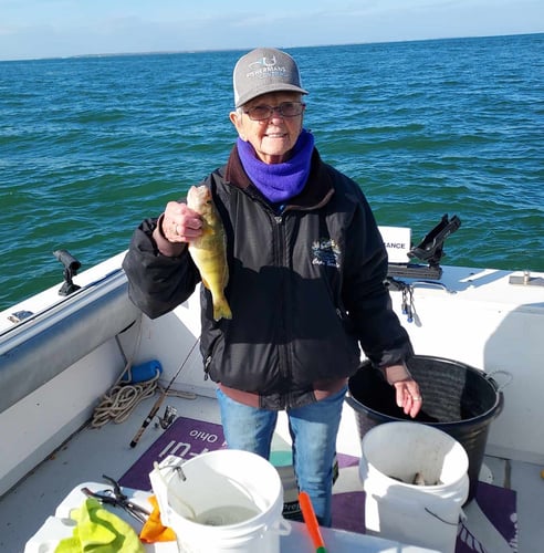 Late Erie Walleye And Perch In Lakeside Marblehead