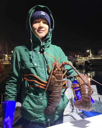 Lobster Hooping - 21' Bayliner In Long Beach