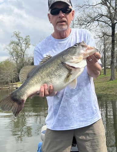Trophy Bass On O.H. Ivie Lake In Voss