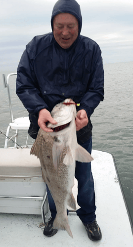 SPI "All About Fishing" Trip In South Padre Island