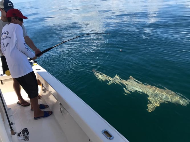 Fast Cast Fishing FISHING CHARTERS & EXCURSIONS in Boca Grande