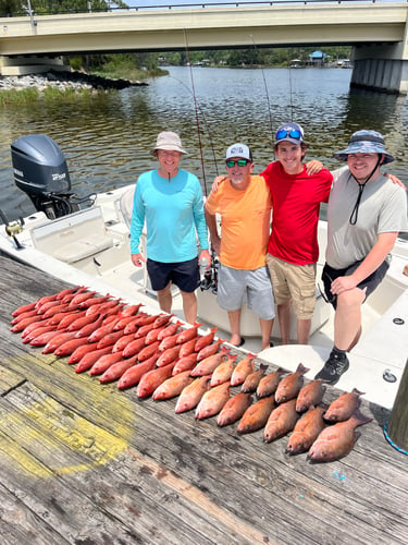 3/4 Day Offshore/bay In Pensacola