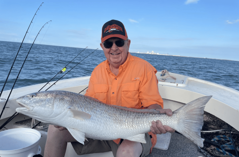 New Video! Join Capt. Mike as he - Florida Sport Fishing