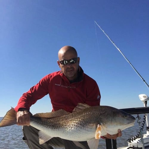 Poisson Redfish On The Fly In Houma