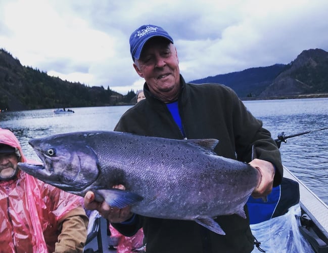 Salmon Trips In Cook