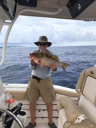 Full Day Offshore Trip In Cape Coral