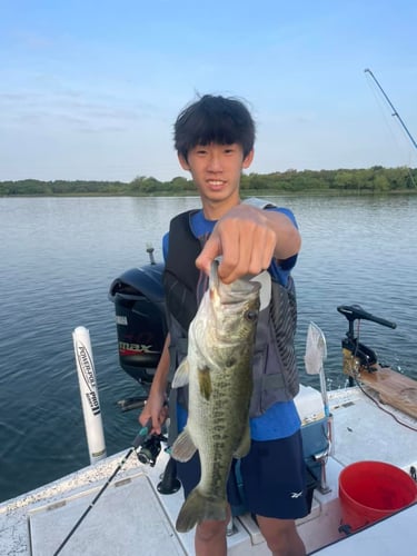 Decker Lake Multi Species Fishing In Austin