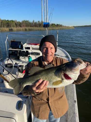 Decker Lake Multi Species Fishing In Austin