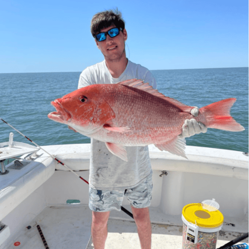 5 Hr Bottom Fishing & Trolling In Gulf Shores