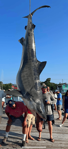 Alabama Shark Slam 31' In Orange Beach
