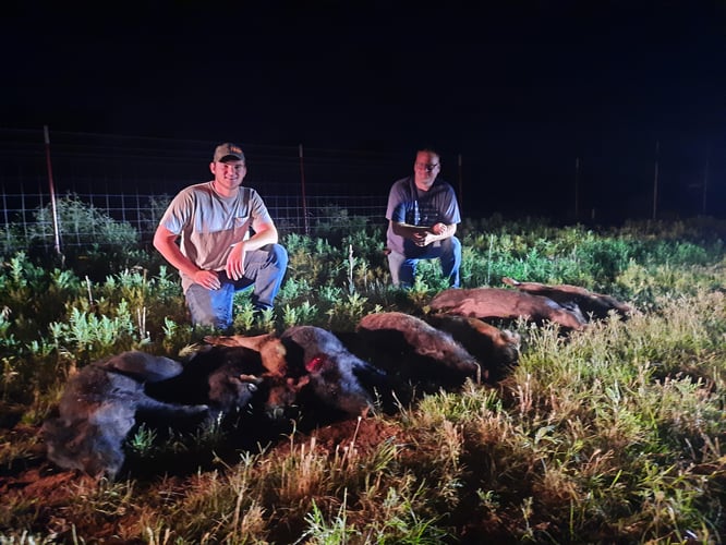 Texas Hog Hunting Adventure!!! In Nocona