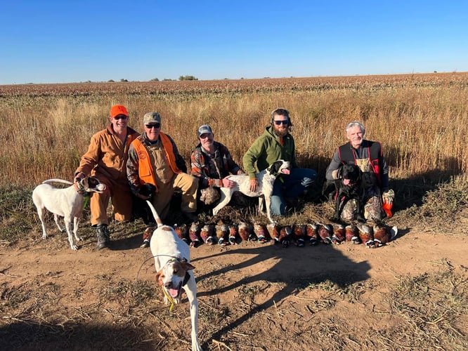 Saskatechwan Waterfowl Whack In Saskatoon