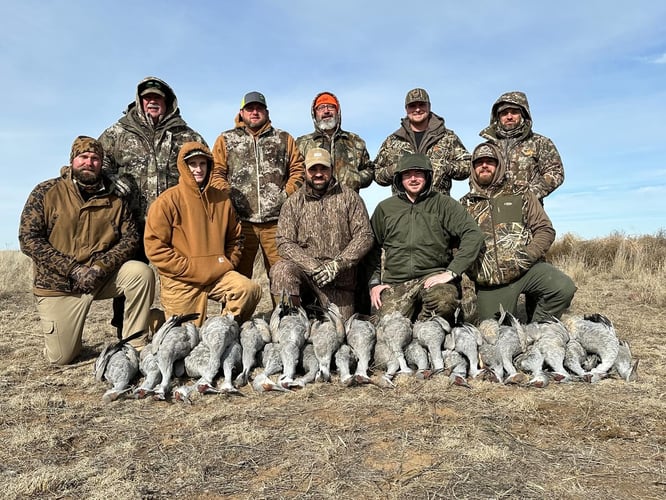 Texas Goose Adventure With Lodging In Lubbock