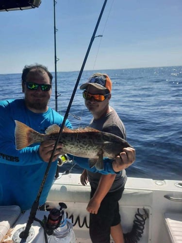 Offshore Grouper Fishing 🎣 In Cedar Key