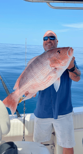 Inshore Insanity In Clearwater