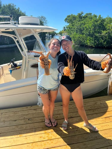 Catch Your Own Tasty Lobster! In Little Torch Key