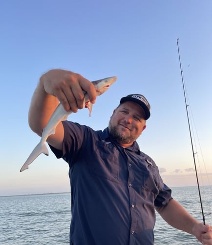 Great Inshore Fishing In Galveston