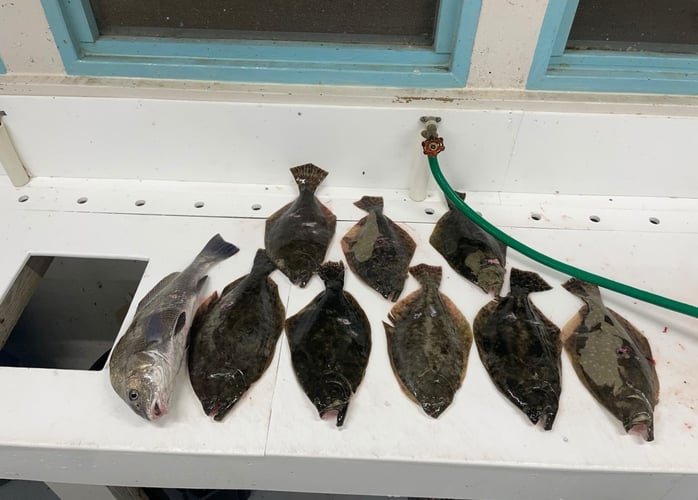 Corpus Christi Flounder Gigging In Port Aransas