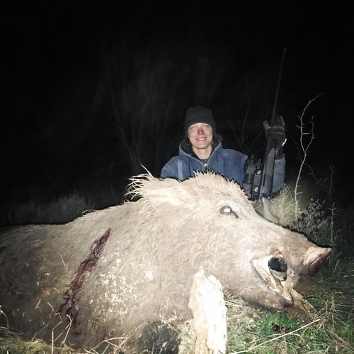 Stand/Feeder Hog Hunting In Winters