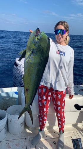 Deep Dropping - 31' Jupiter In Pompano Beach