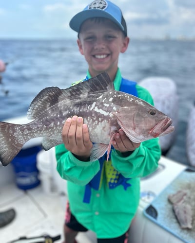 Drift Fishing Trip - 31' Jupiter In Pompano Beach